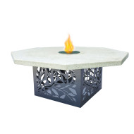 Brûleur de centre table professionnel à alcool pour les longues soirées d'hiver